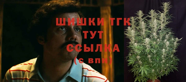 амф Бугульма
