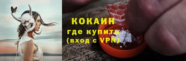 бошки Бронницы