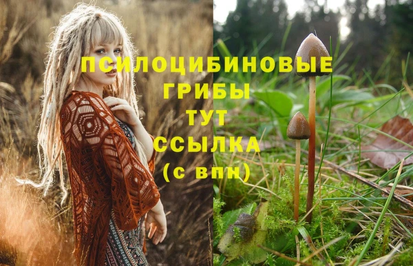 бошки Бронницы