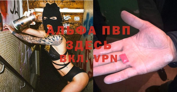 бошки Бронницы