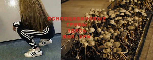 амф Бугульма