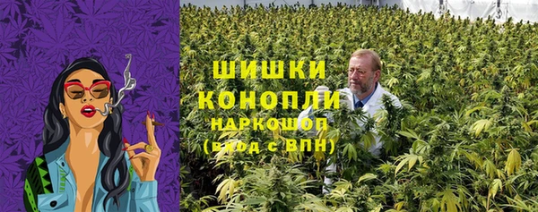 бошки Бронницы